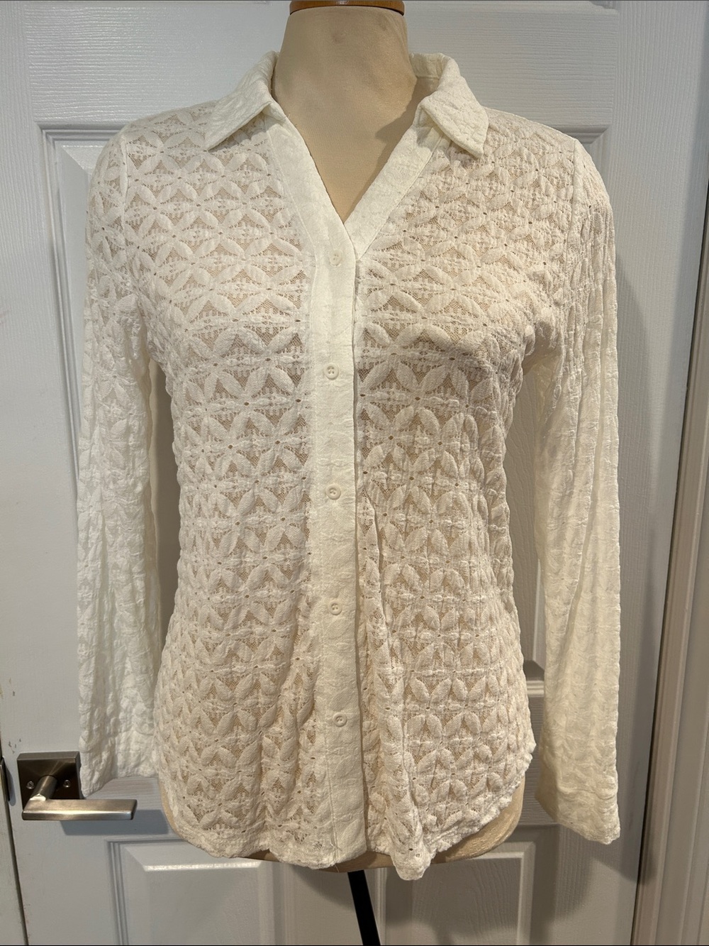 Adrianna Papell Ivory Lace Button-Down Shirt